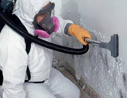 Environmental Consulting for Mold Prevention in Mulino, OR